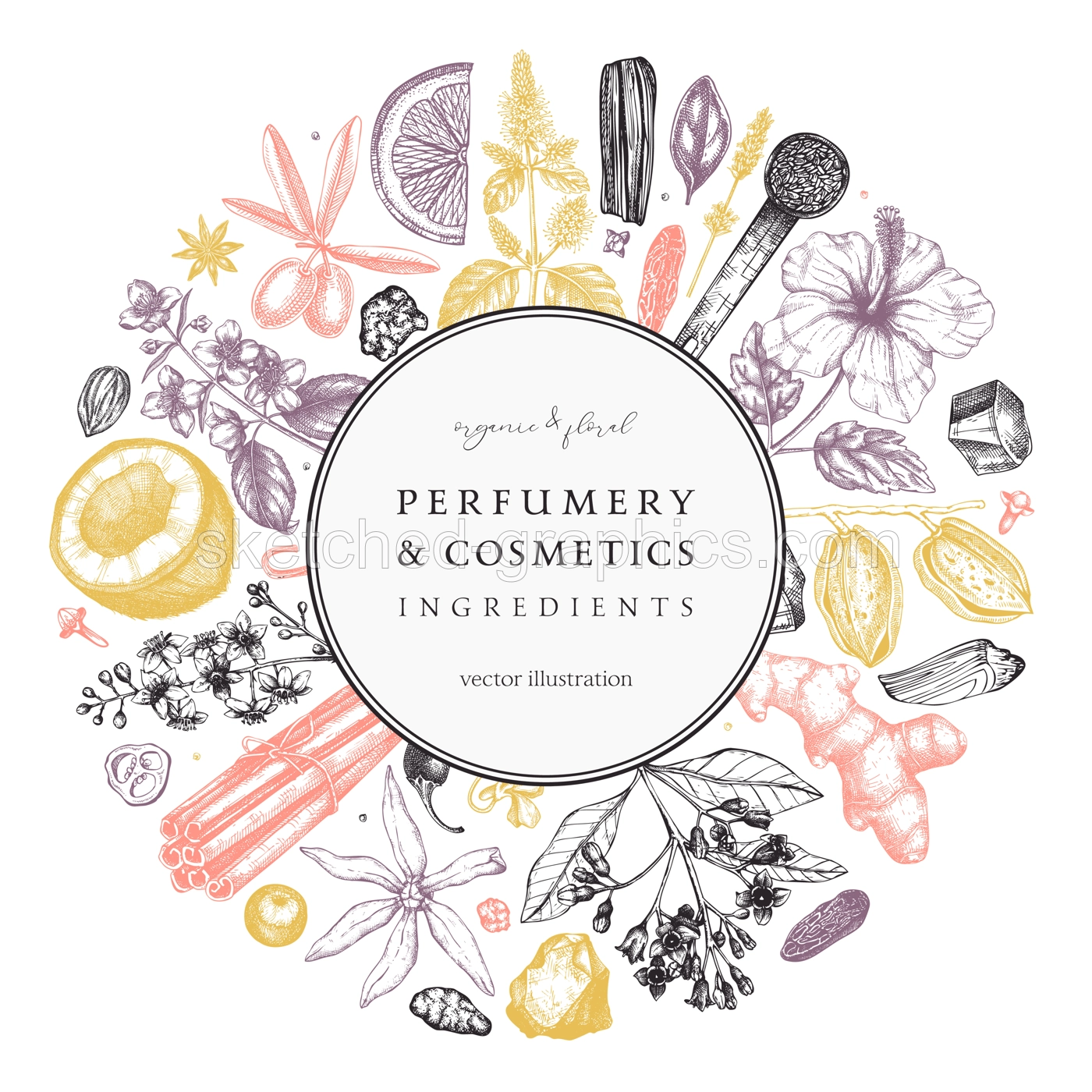 Aromatic plants wreath. Perfumery and cosmetics ingredients banner. Flower, fruit, spice, herb sketches. Hand drawn vector illustration. Packaging design template.  Illustration